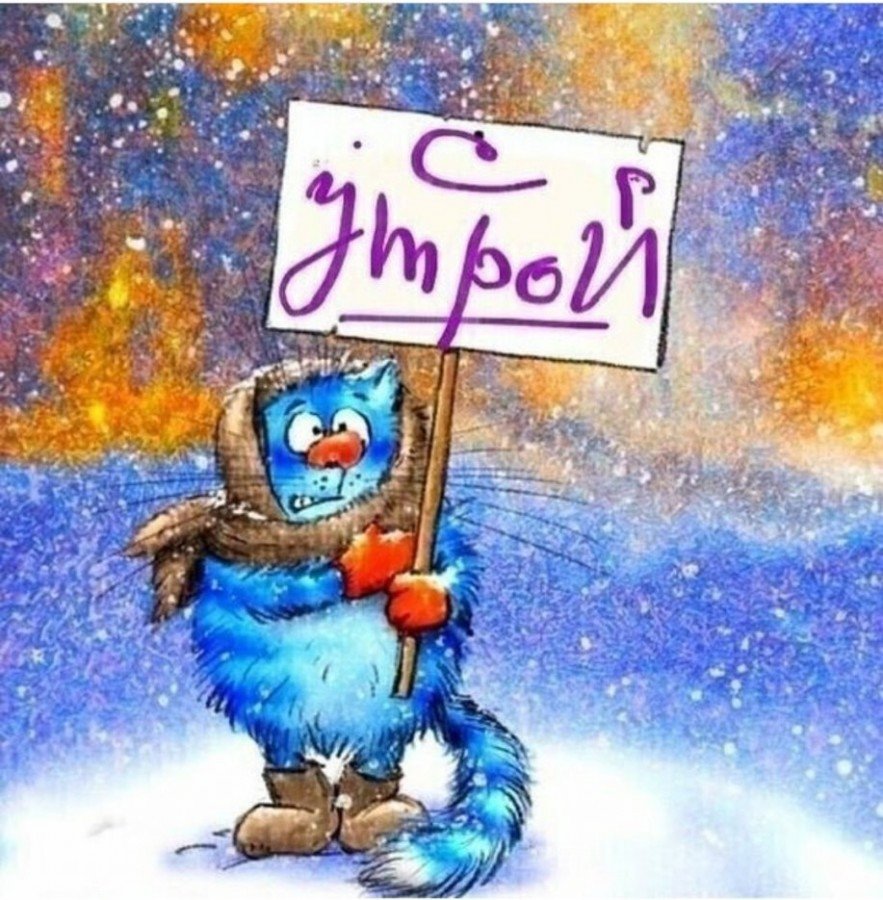 Доброе утро синие коты