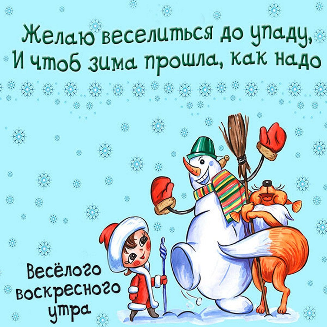 Доброго дня воскресного зимнего прикольные с юмором
