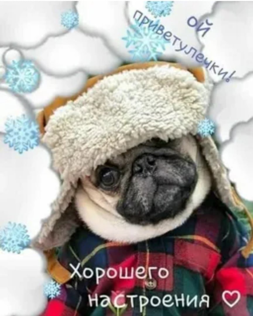 Доброе утро зимние прикольные позитивные