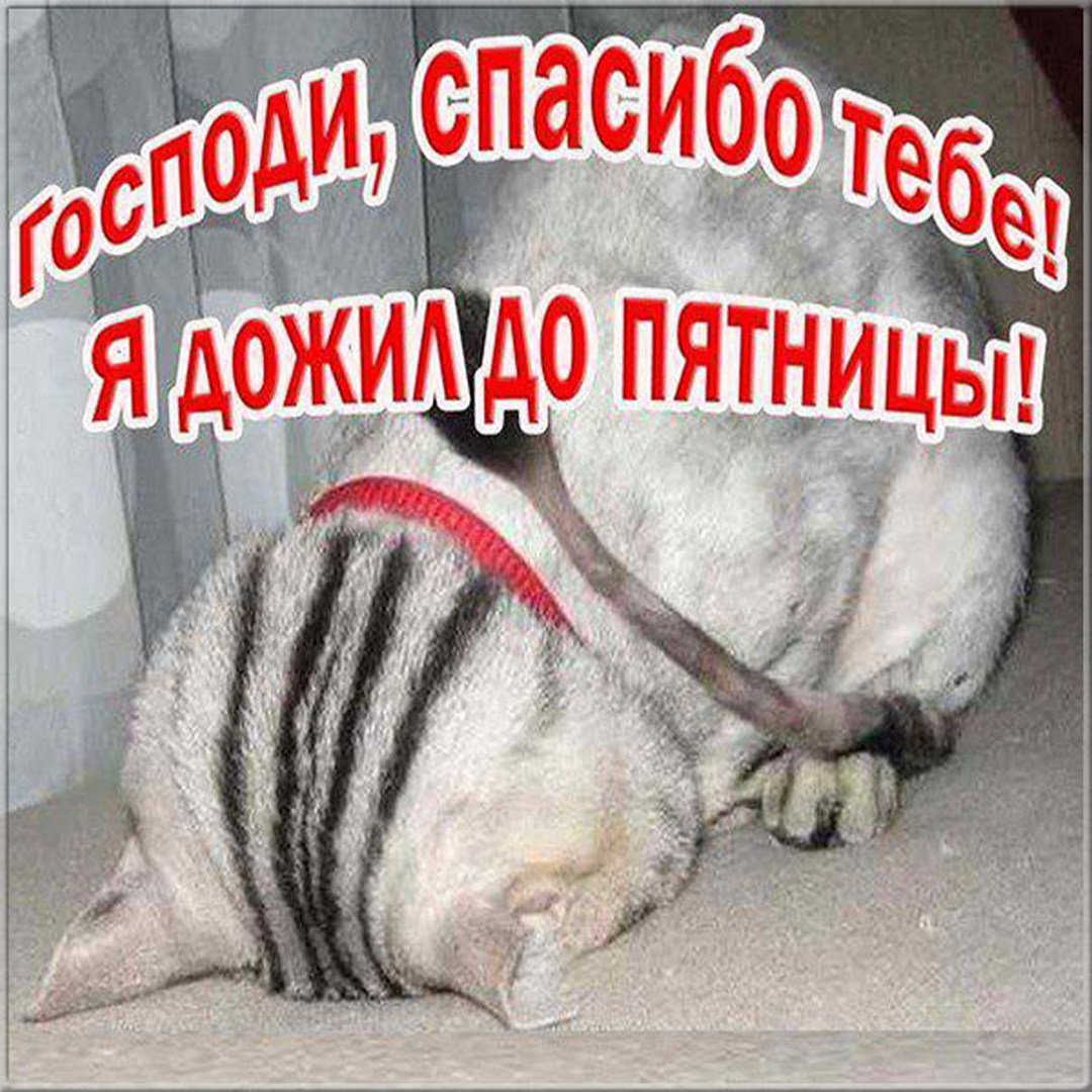 Пятница прекрасных выходных