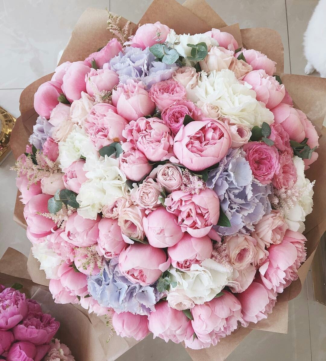 Пионовые розы букет