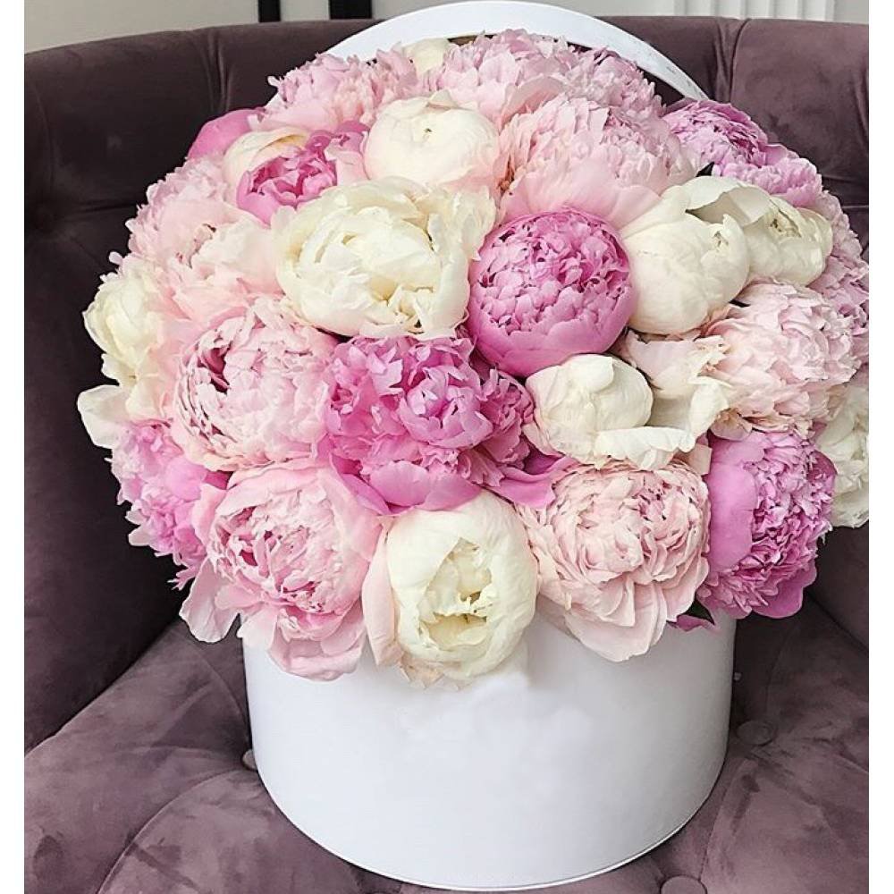 Красивые пионы в коробке