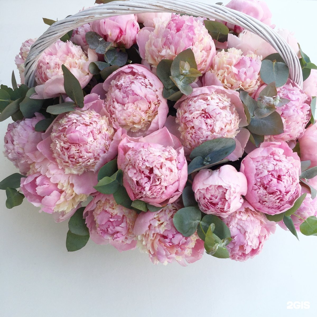 Розовые пионы и эвкалипт