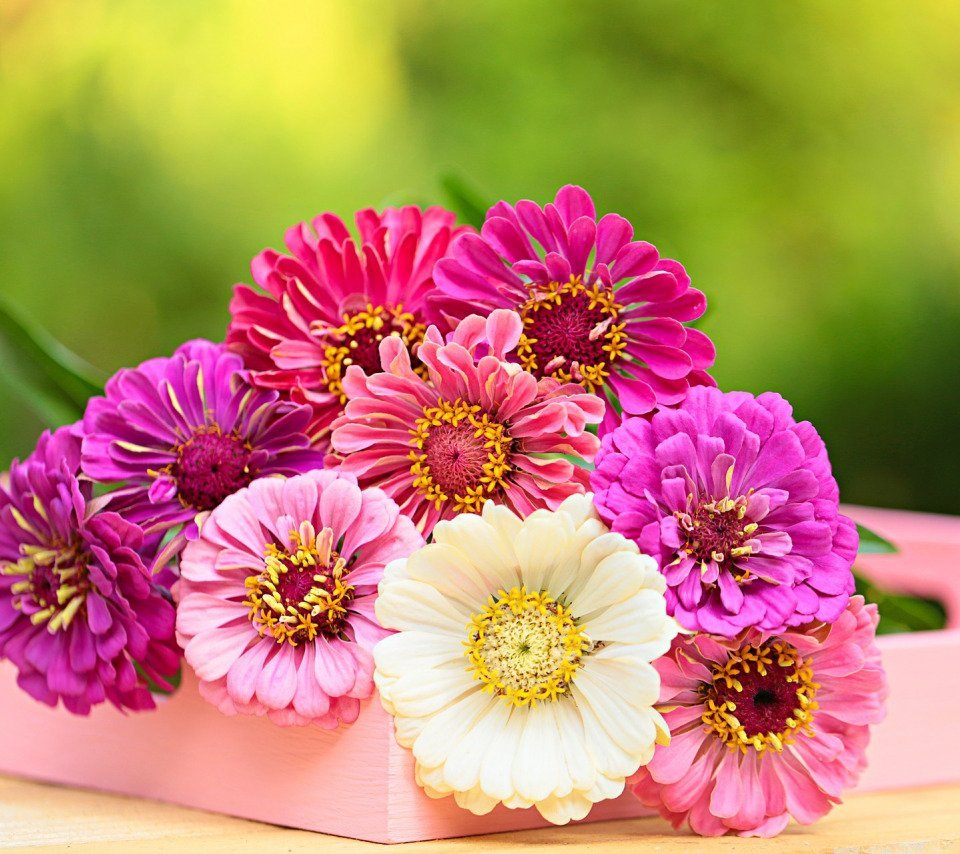 С днём рождения Любаша