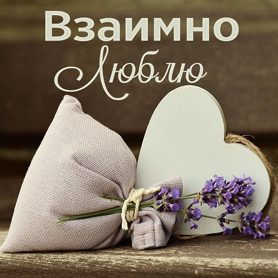 Розовые розы