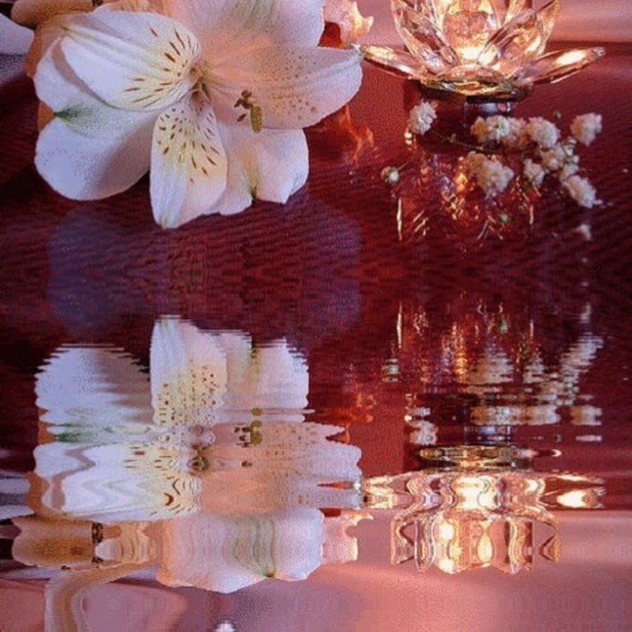 Молодец поздравляю