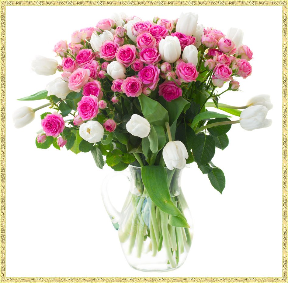 Браво надпись