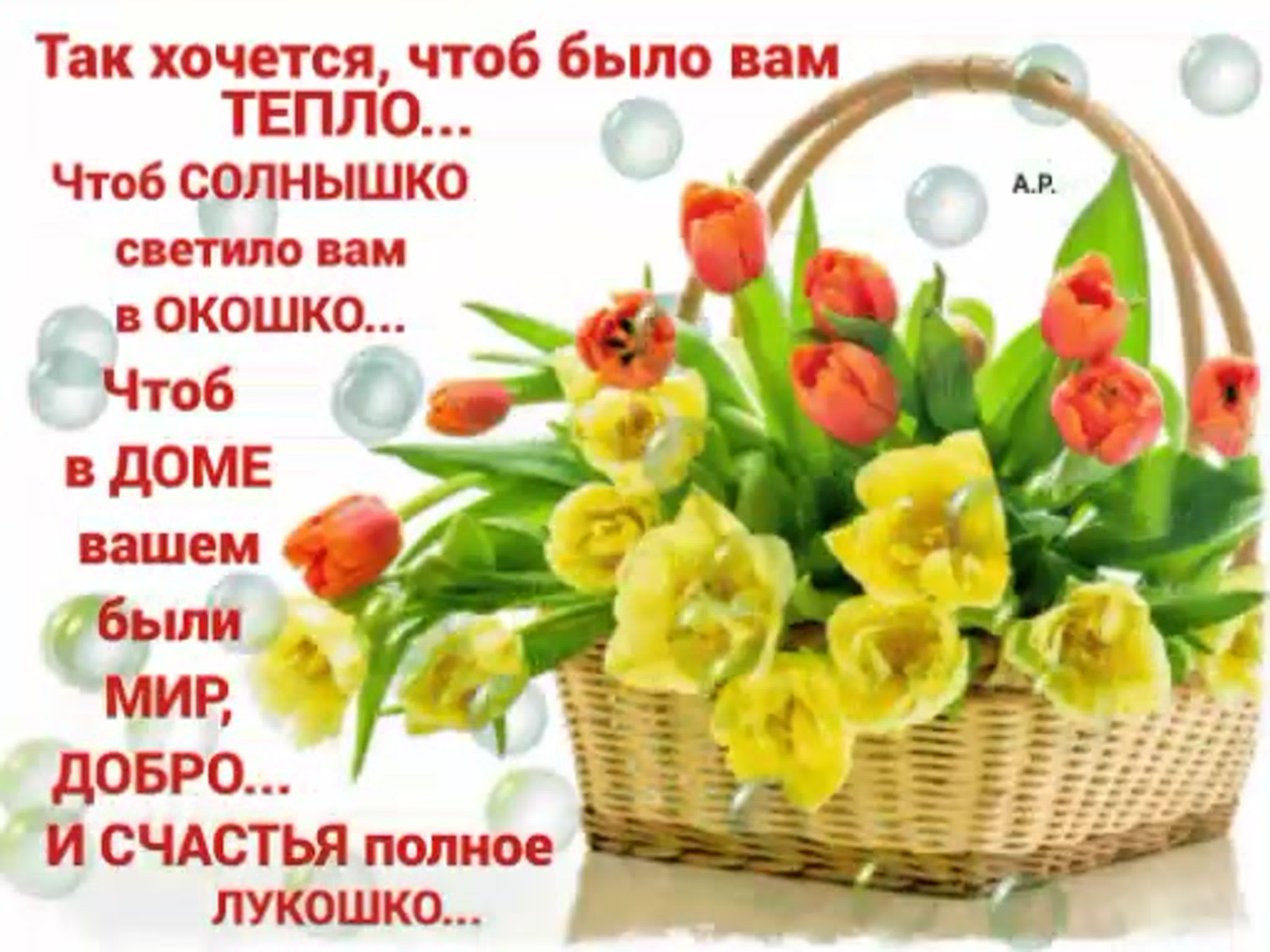 Красивая весенняя открытка с пожеланиями здоровья. Корзинки цветов с пожеланиями. Так хочется чтоб было вам тепло. Пожелания счастья и добра. Пожелания добра здоровья счастья.