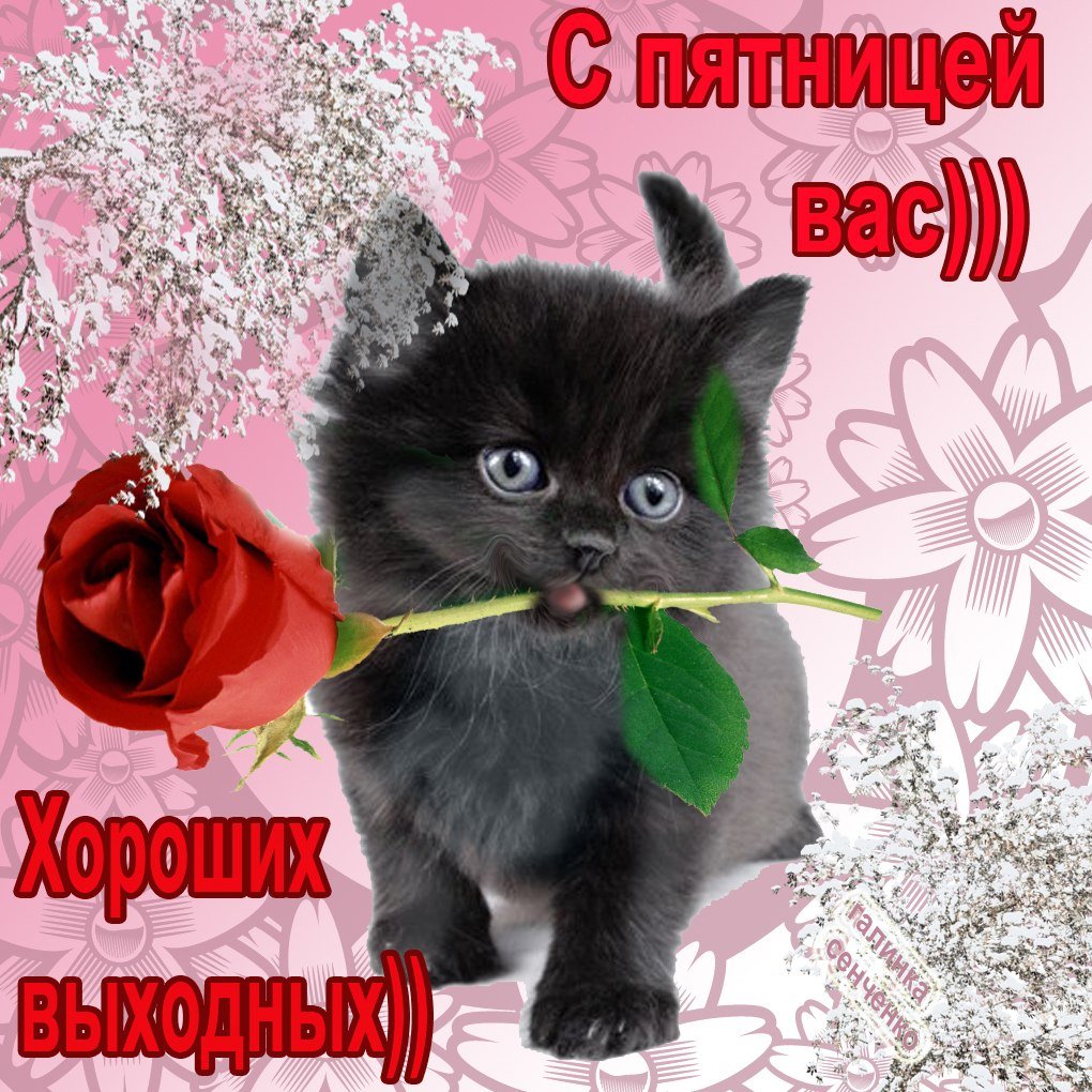 Доброй пятницы