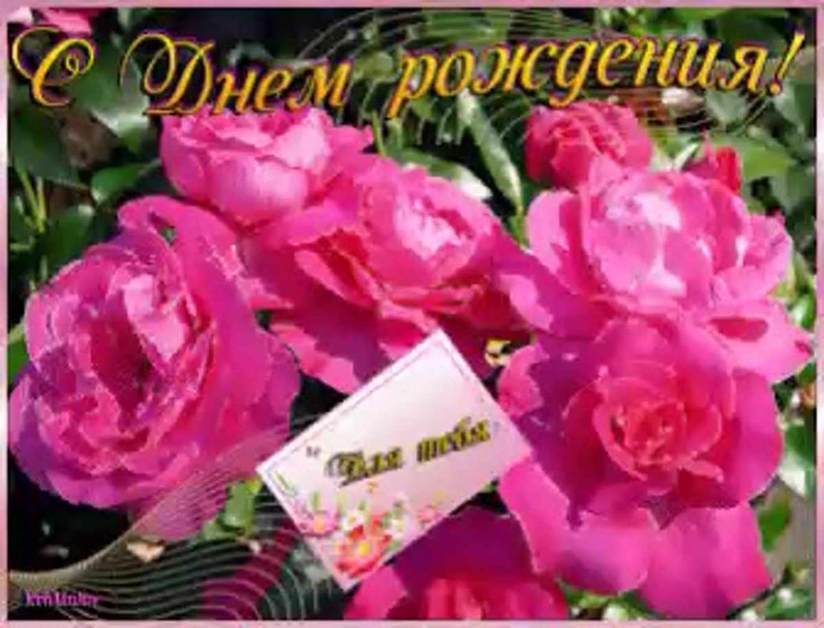 Живые открытки с днем рождения