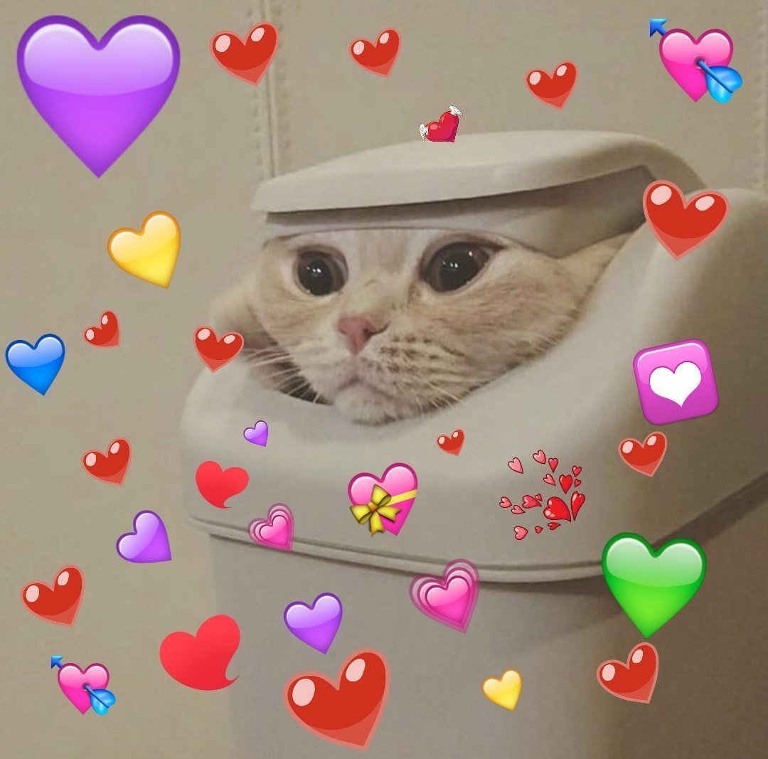 Кошка с сердечком