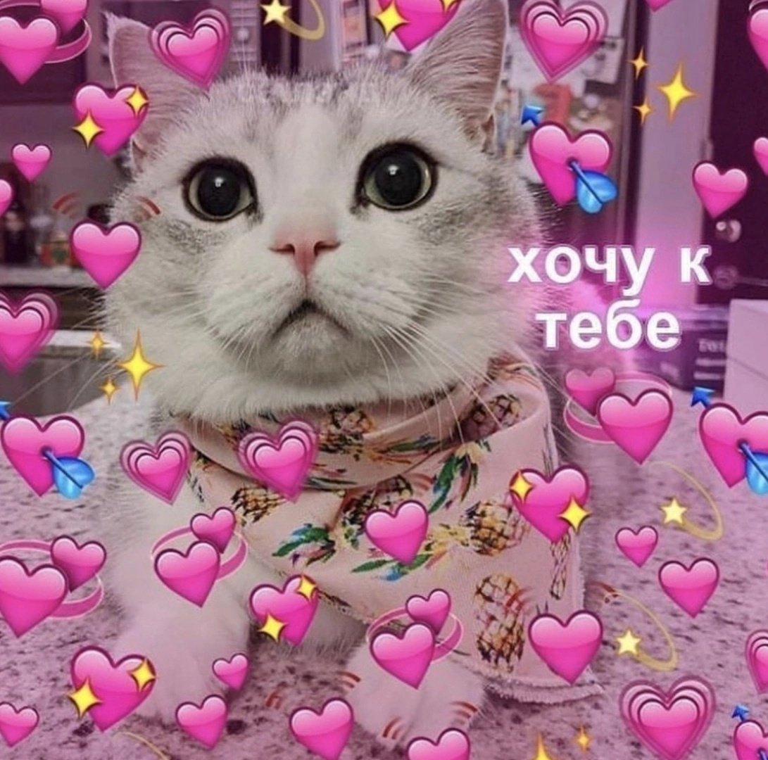 Кошка с сердечком