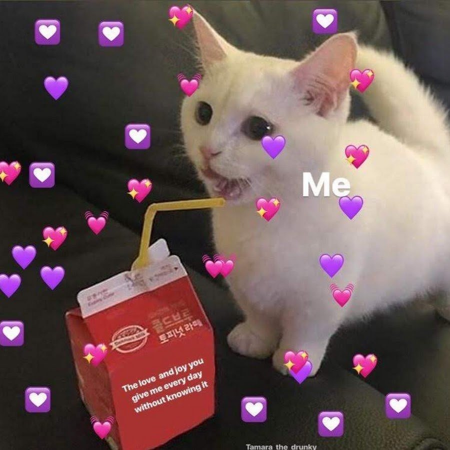 Кошечка с сердечком