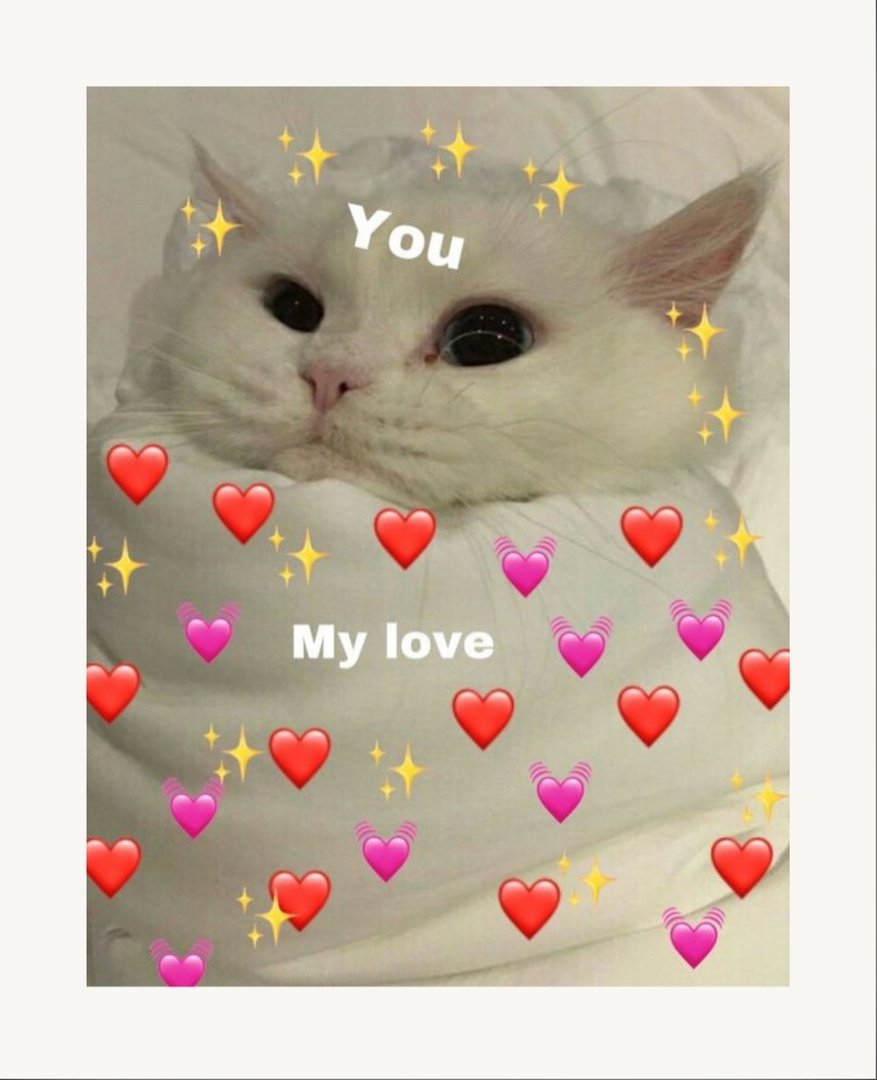 Котики с сердечками