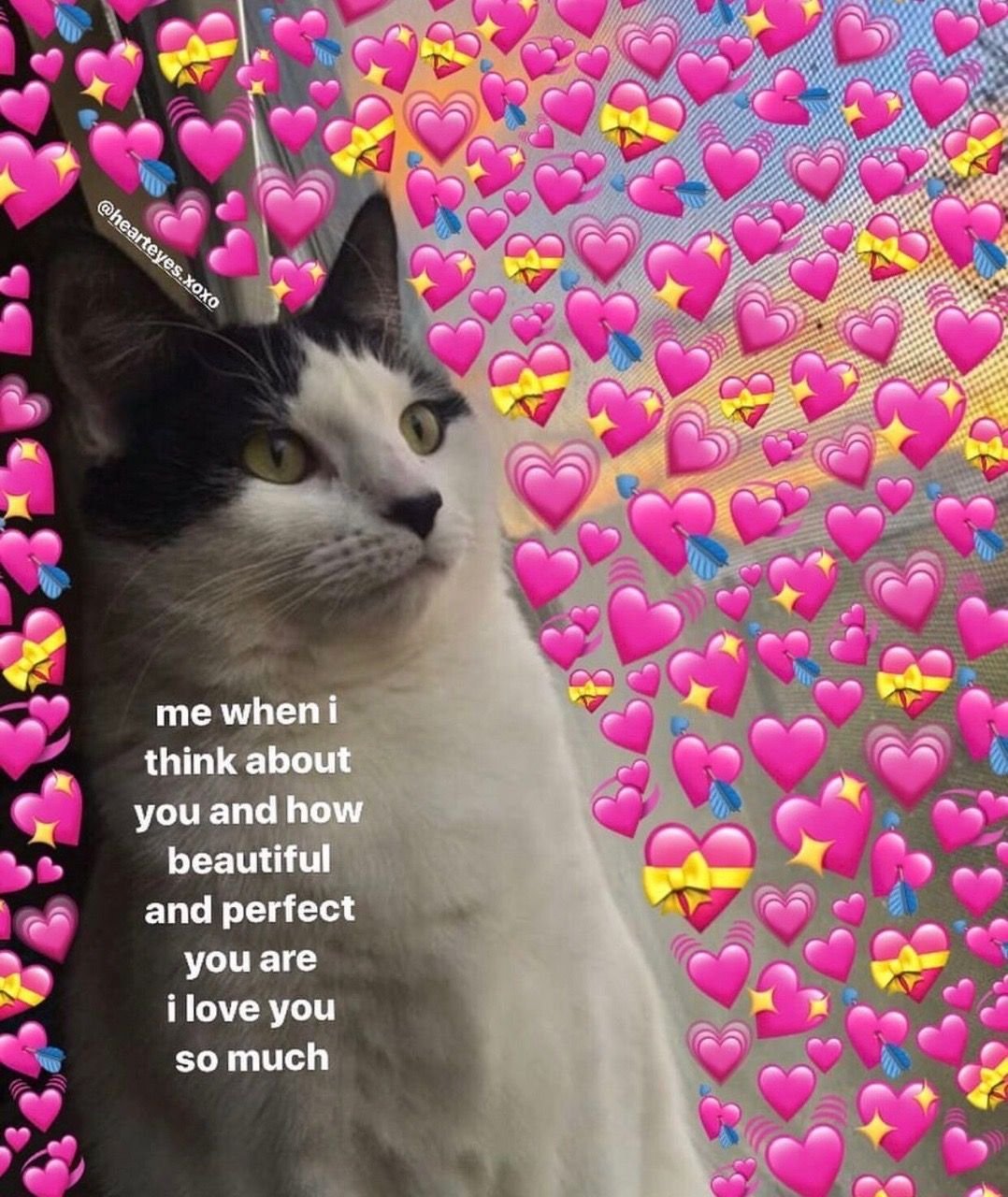 Котики с сердечками