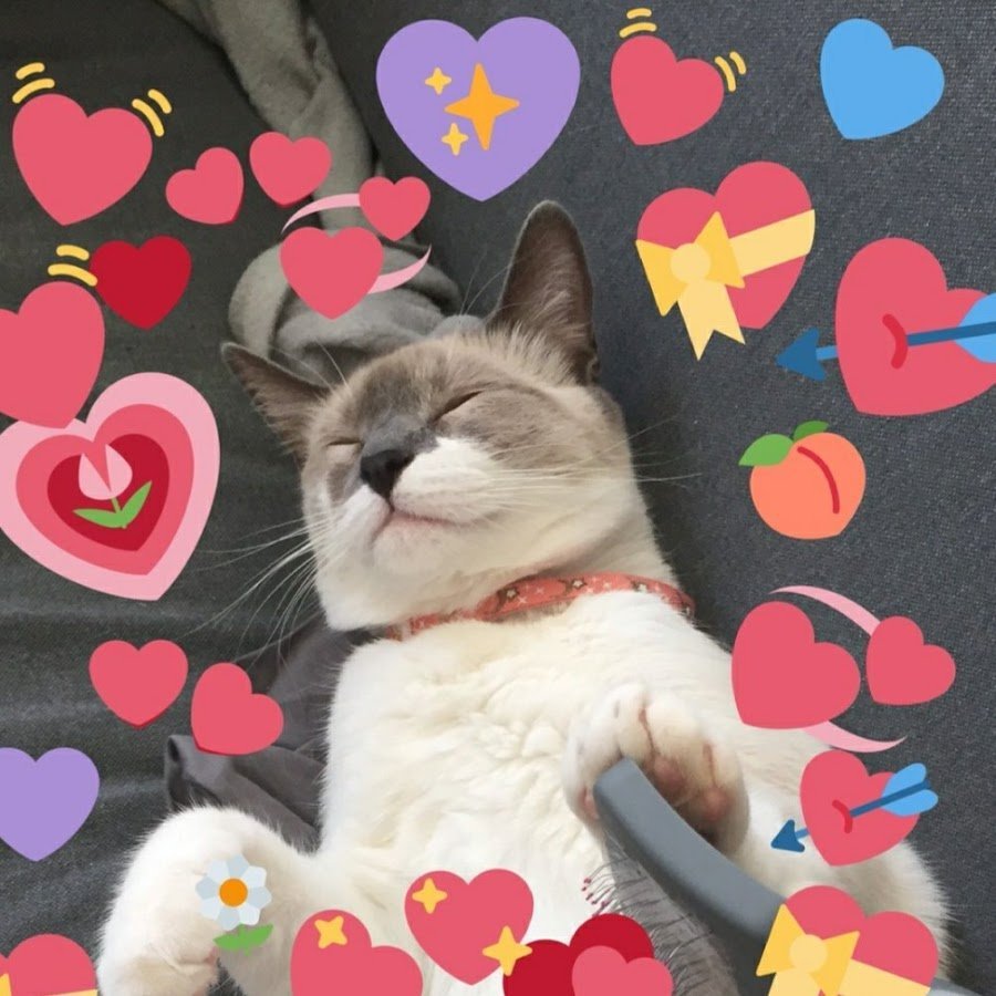 Милый котик с сердечками