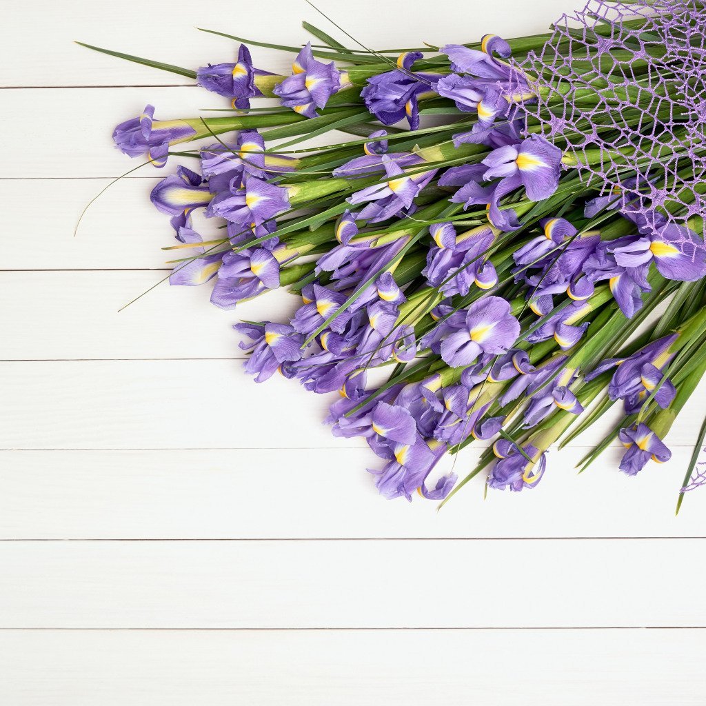 Ирис Подснежник