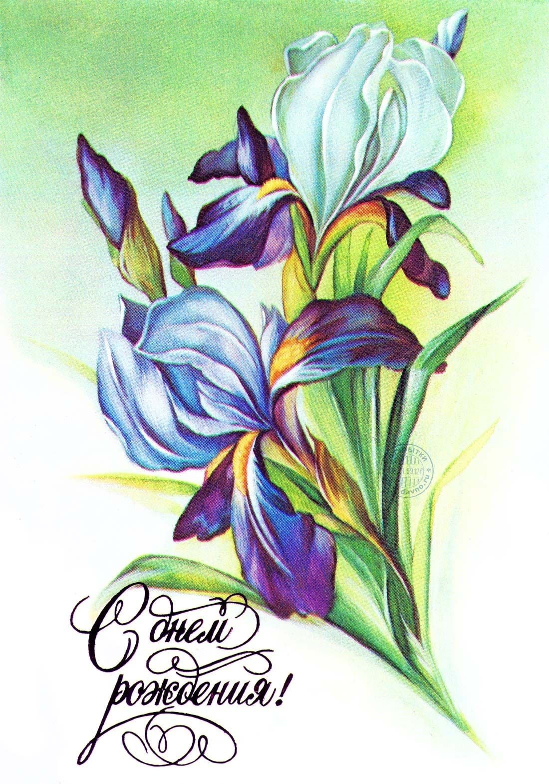 Открытки с ирисами
