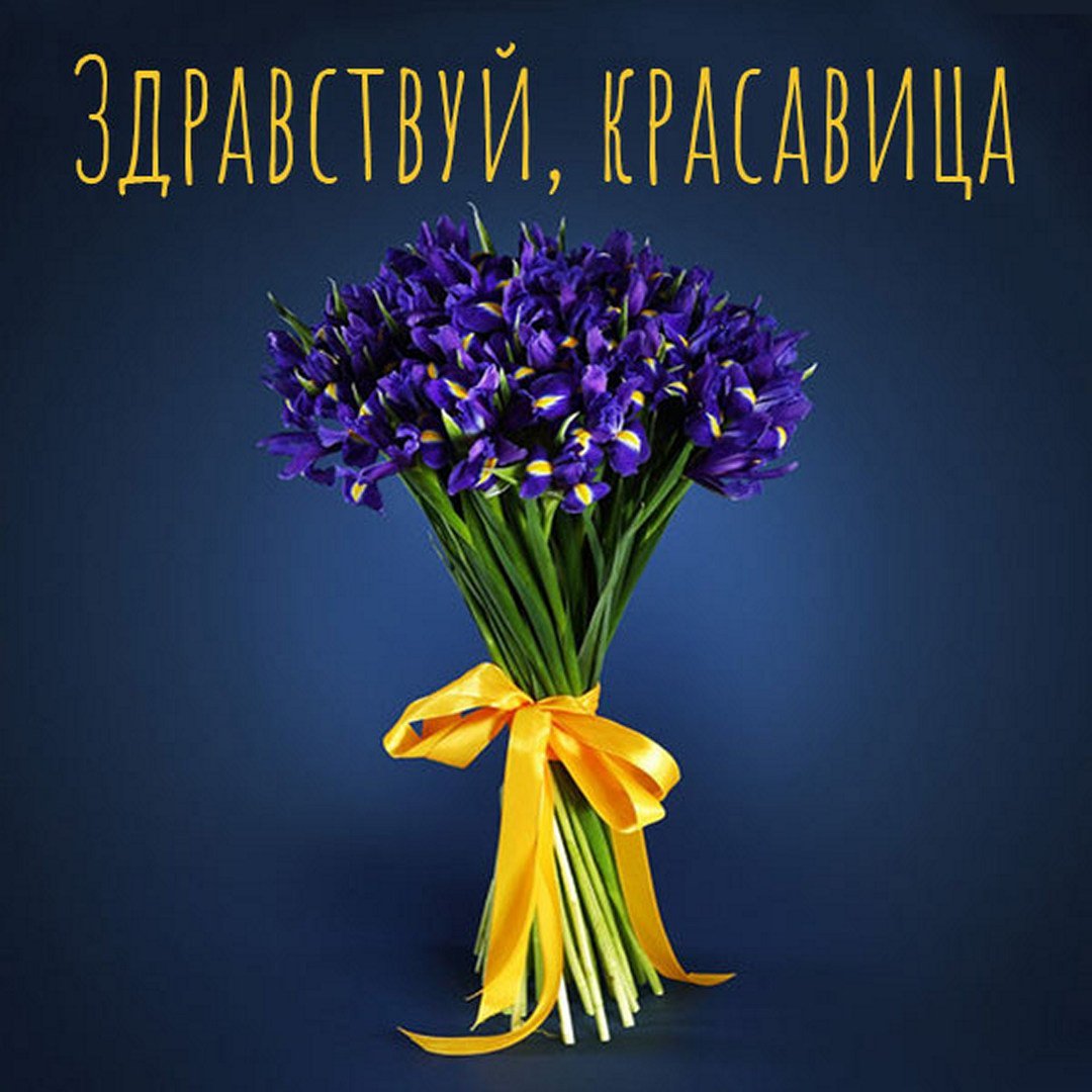 Ирис Блю Мэджик букет