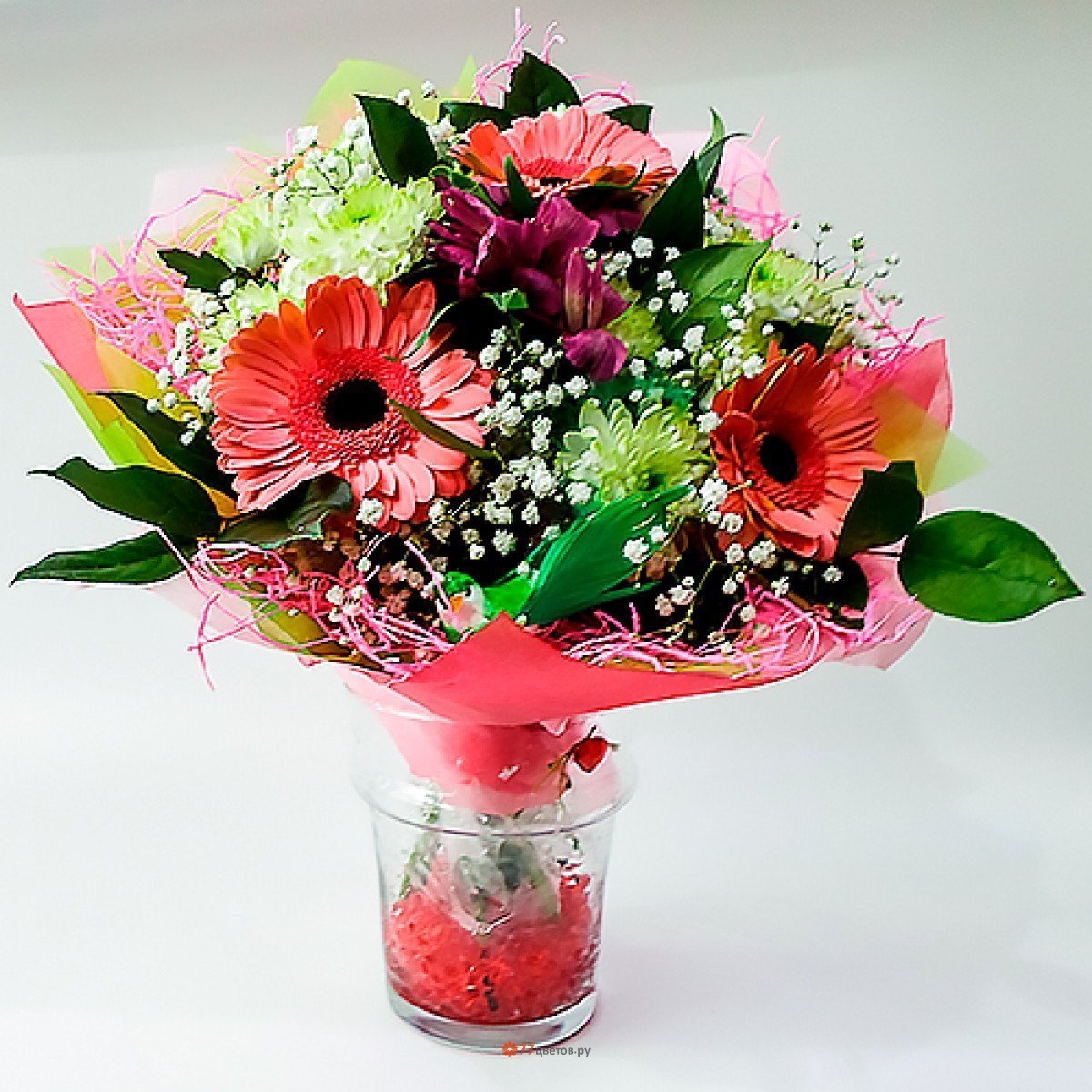 Гербера Торрес