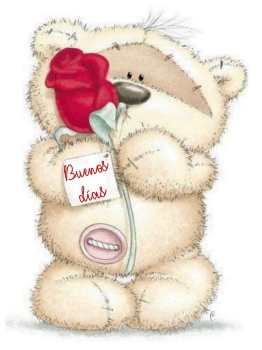 Иллюстрации милых мишек