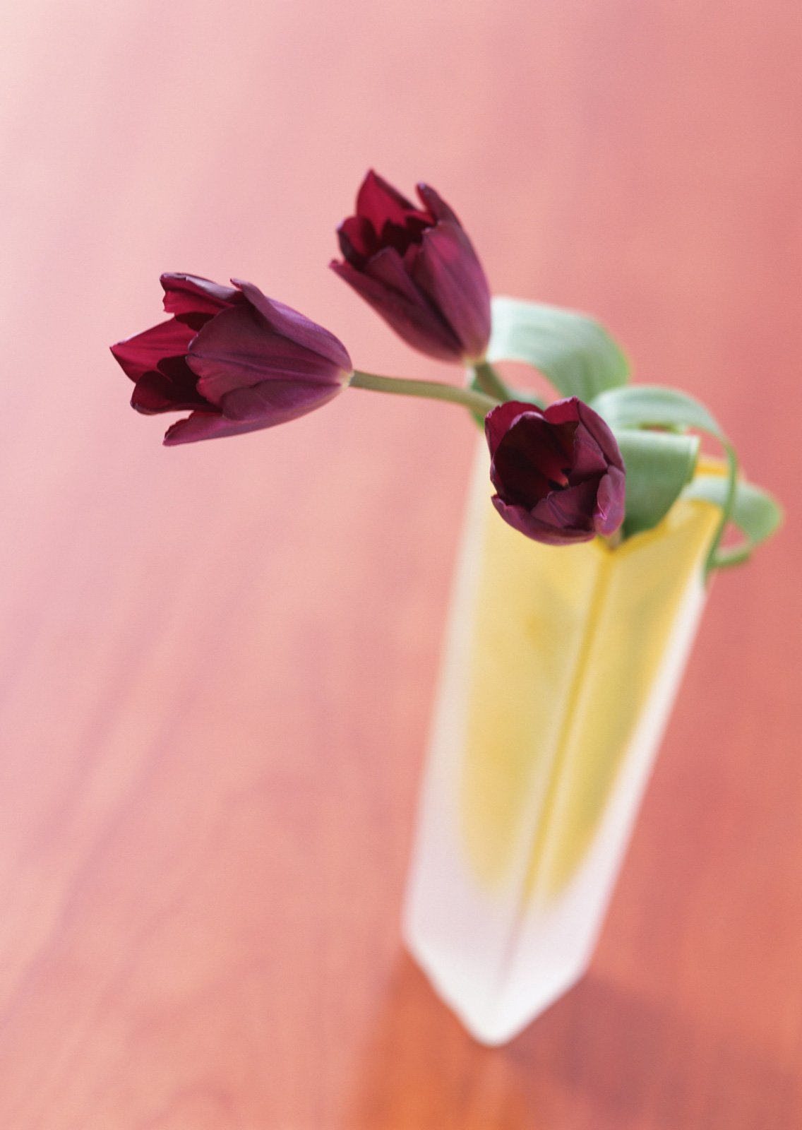 Танюша с днём рождения стильные