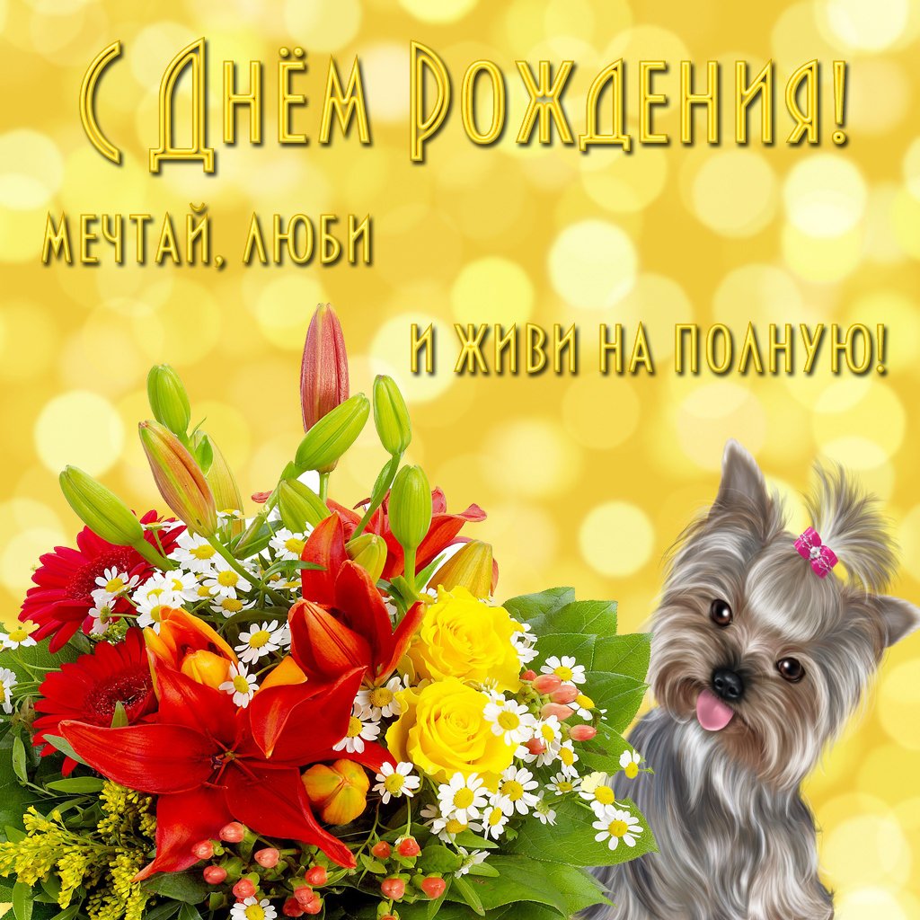 Поздравление Димы с днем рождения