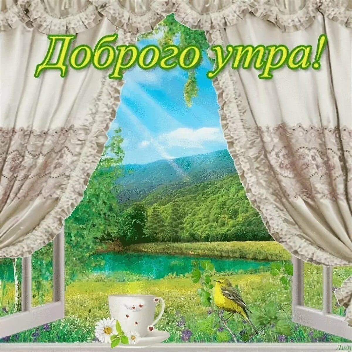 ДС добрым летним утром