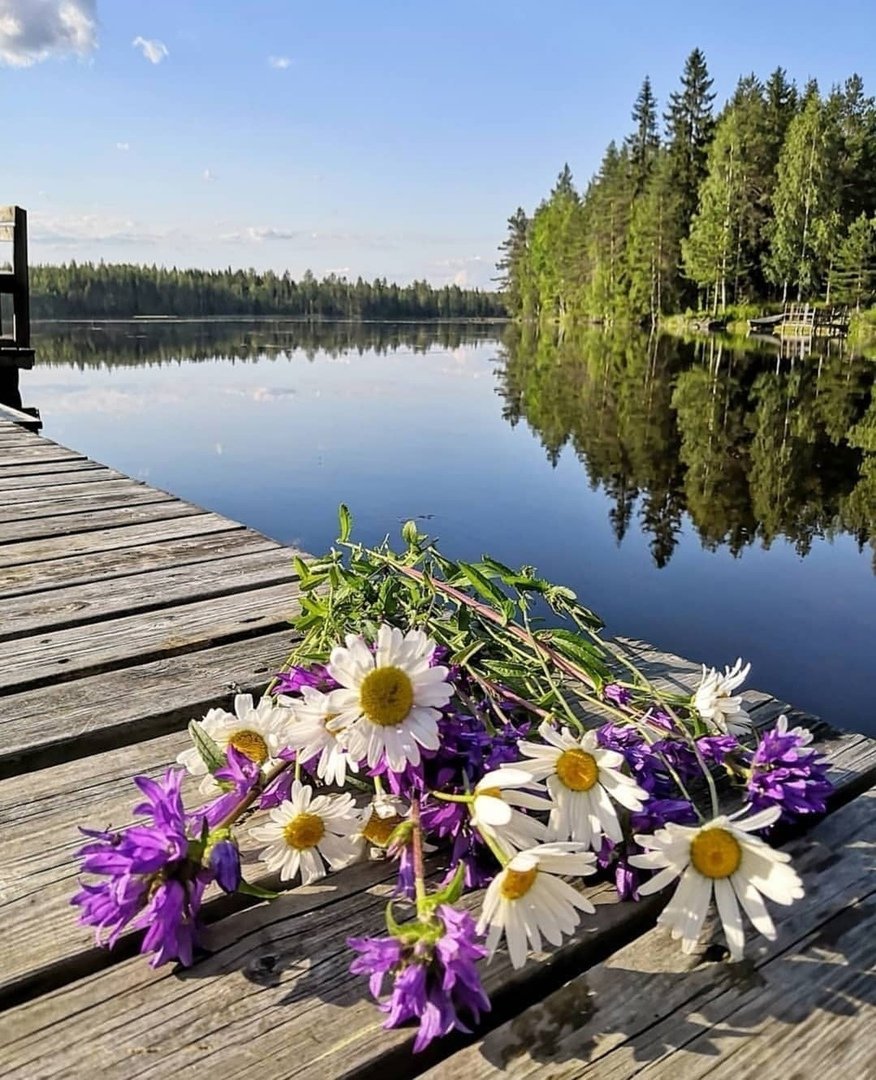 С добрым утром на речке