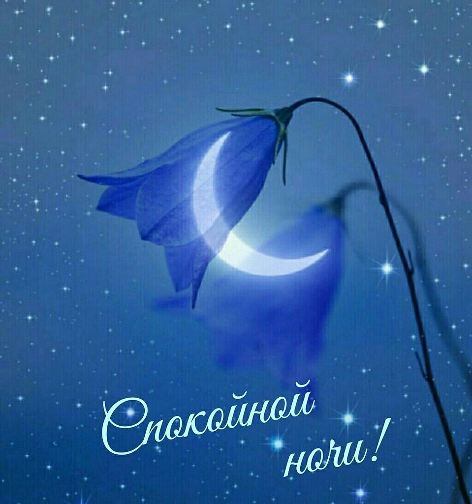 Дима и Ангелина