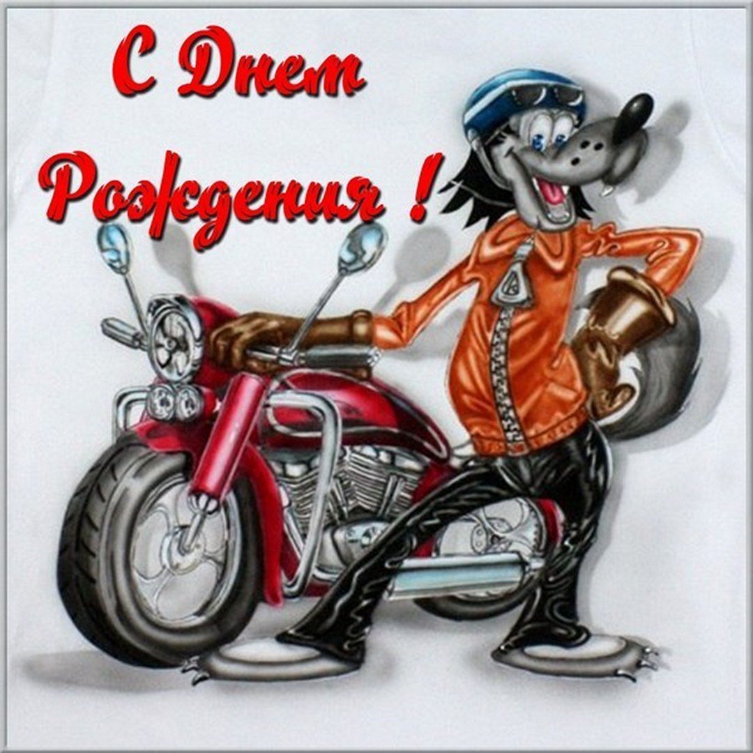 Джек-Рассел-терьер в очках