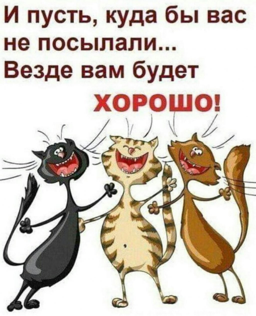 Открытки с юмором