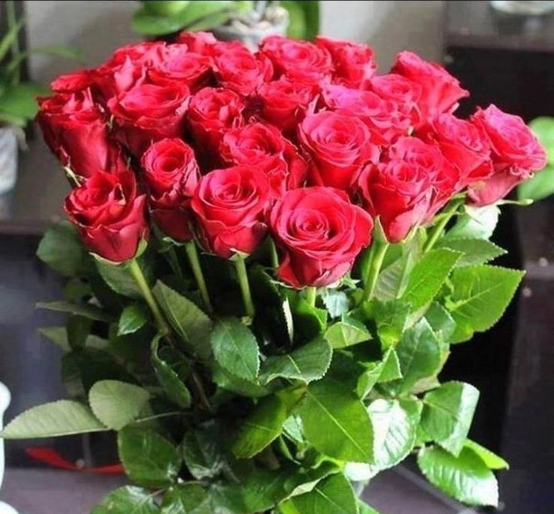 Девушка и 1000 роз