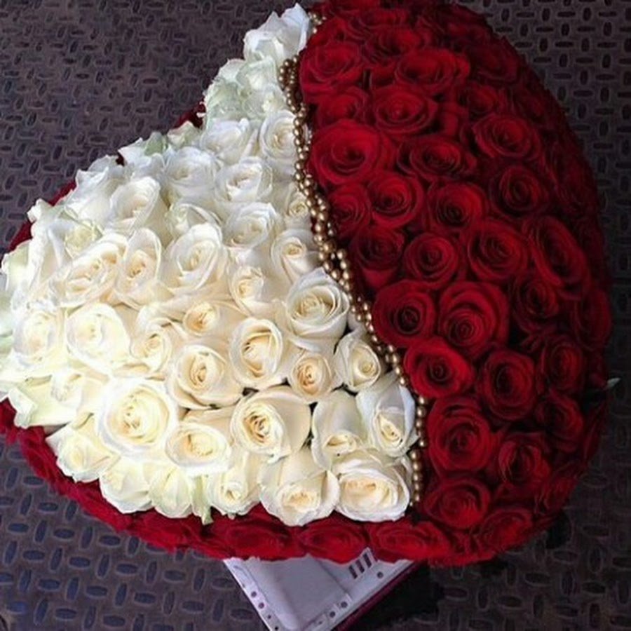 Огромный букет белых роз