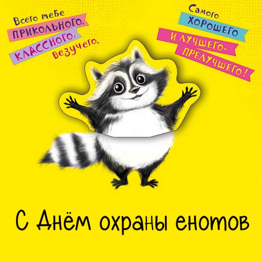 С днем рождения открытка енот - скачать бесплатно на сайте samaramur.ru