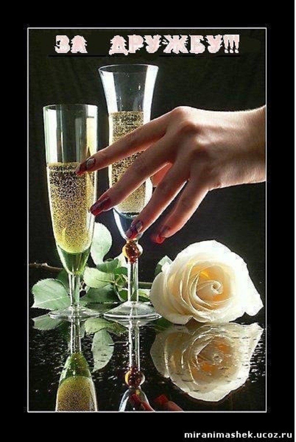 Бокалы за дружбу