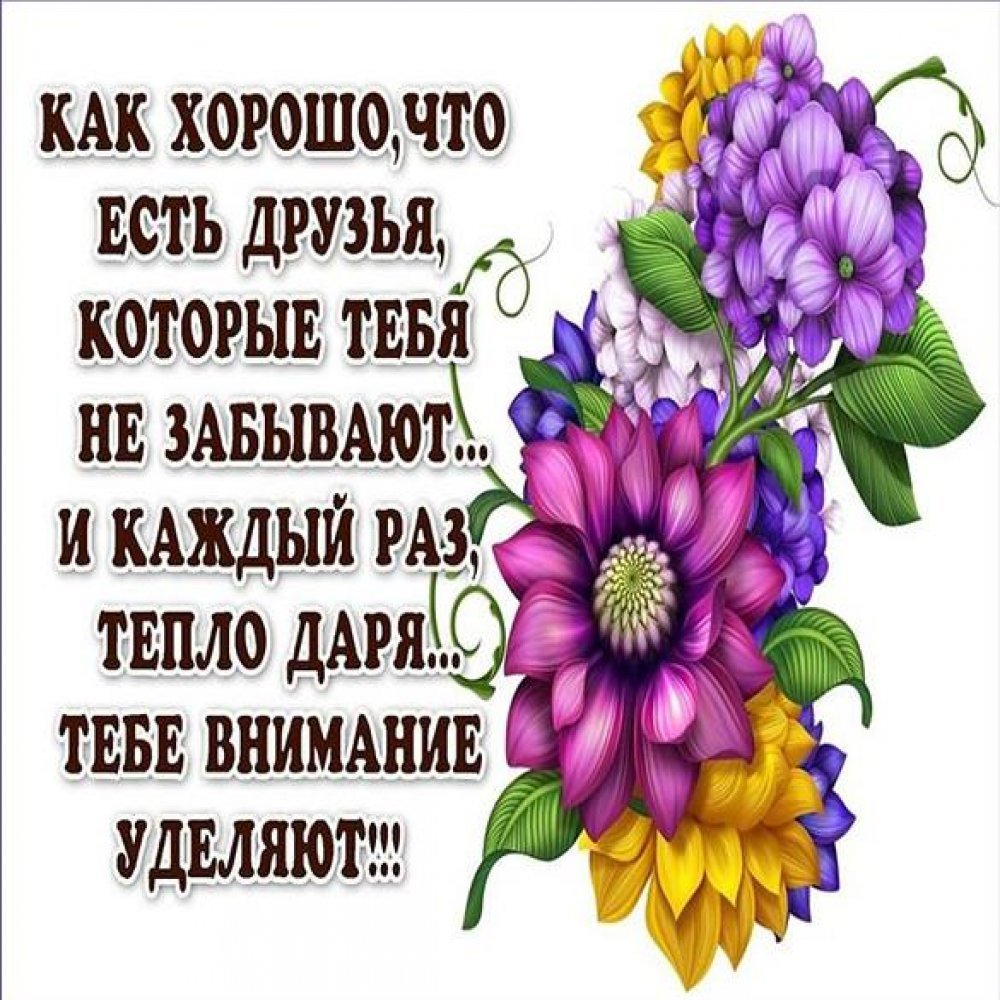 Открытки о дружбе и друзьях