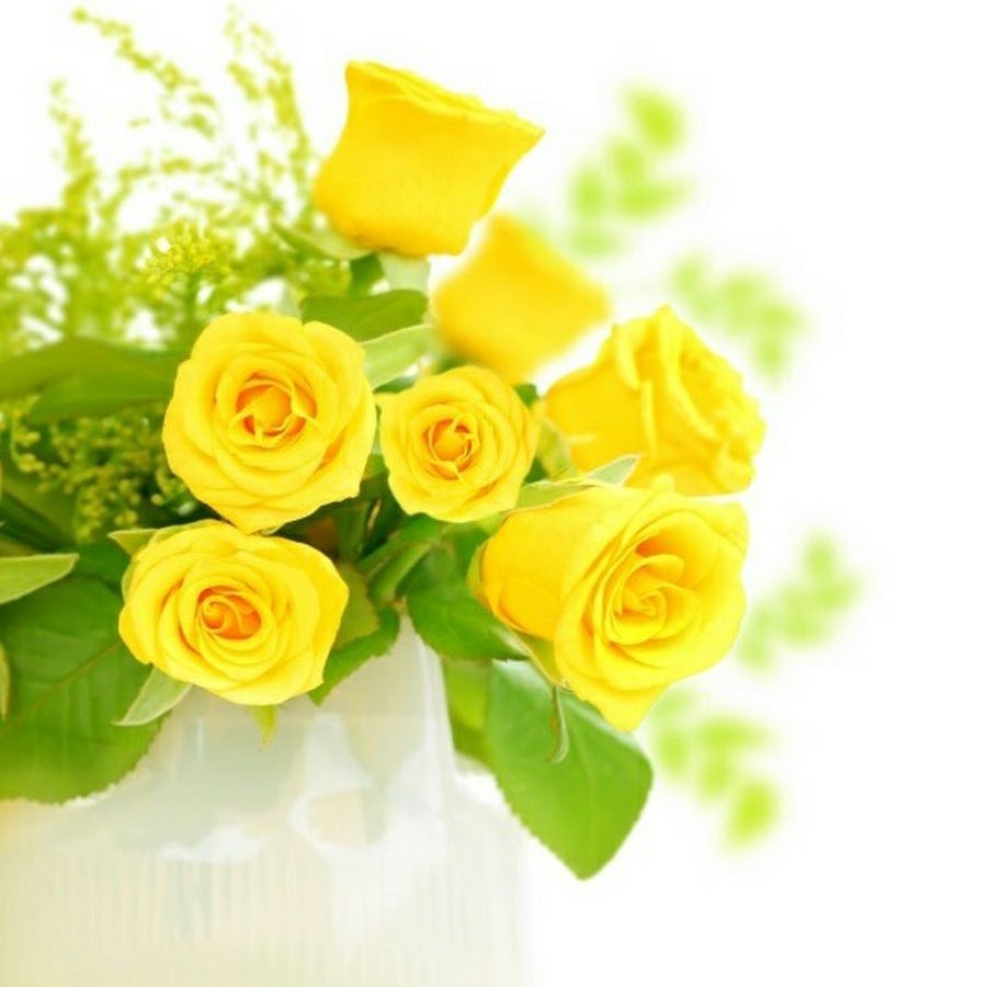 С днём рождения Галина