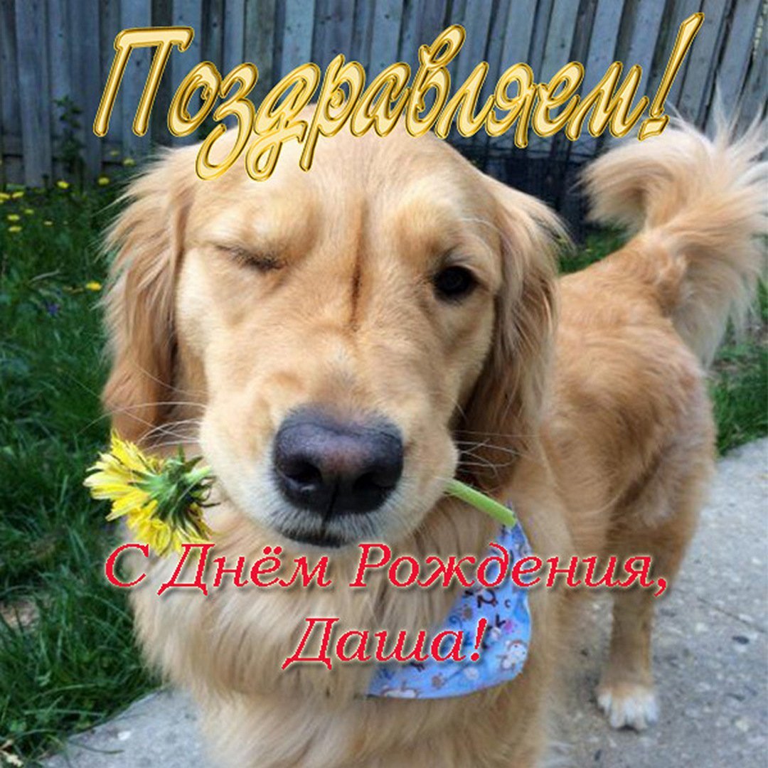 С днём рождения Галира