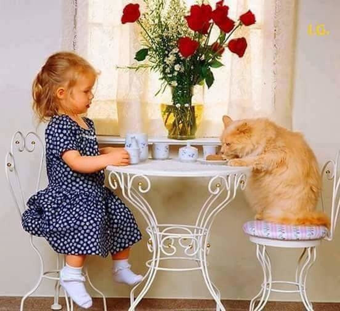 Открытки с добрым утром прикольные