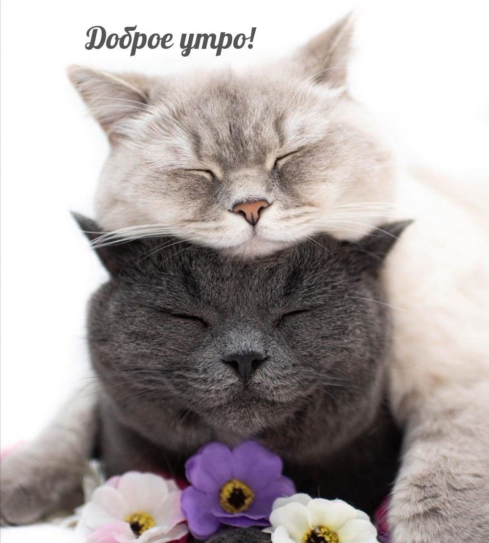 Доброе утречко обнимашки