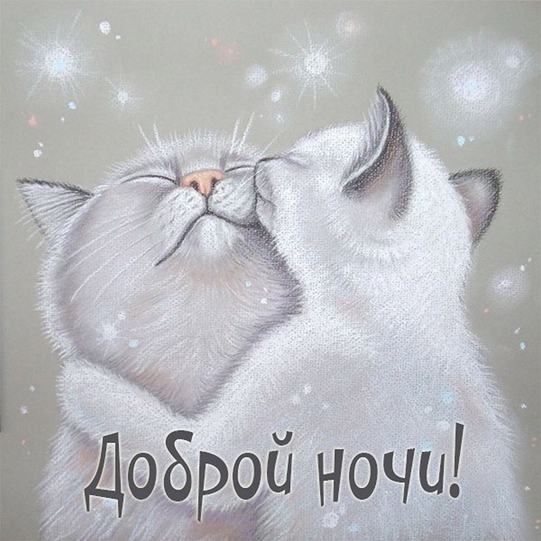 День пушистой нежности