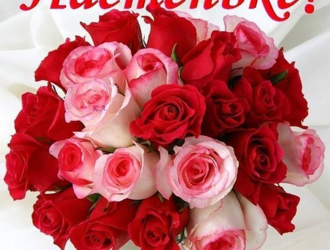 Красивой девушке красивые цветы