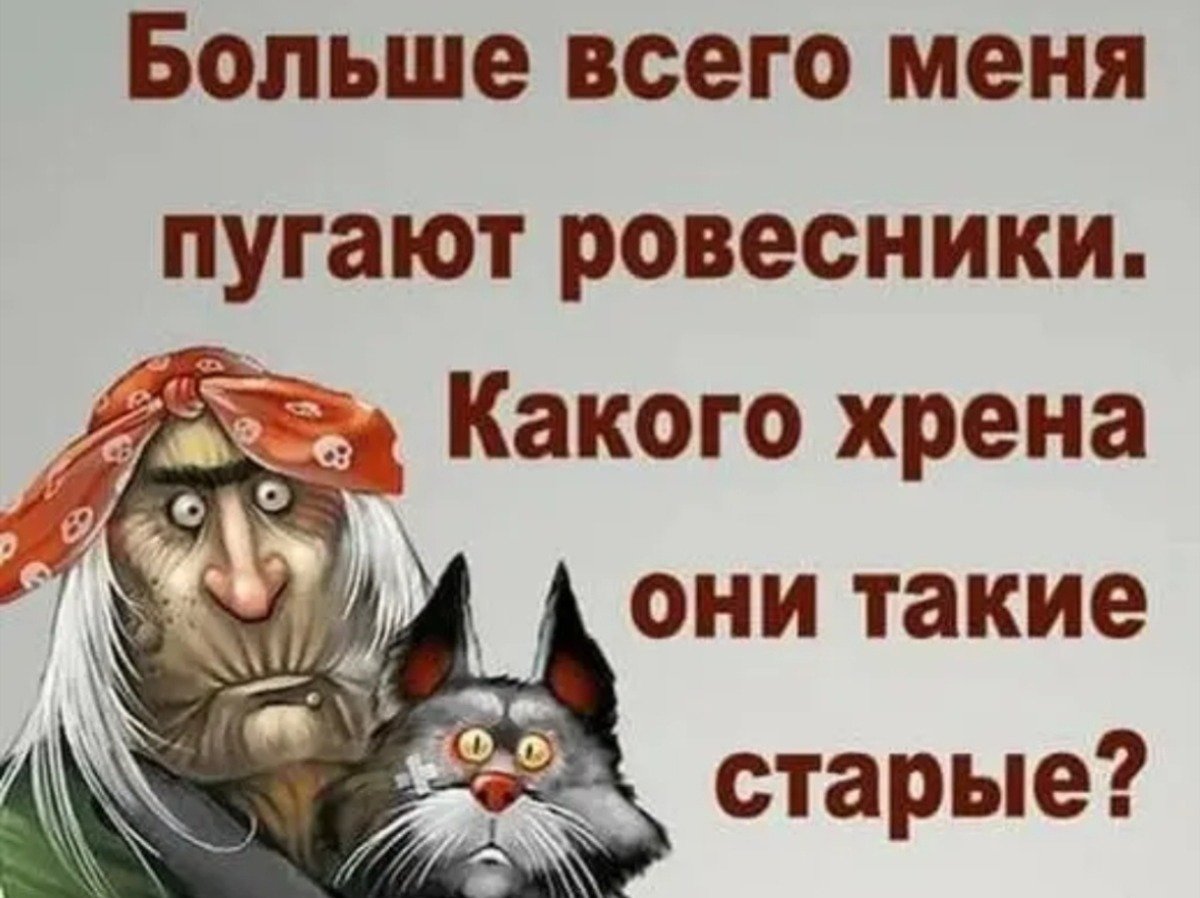 Веселые цитаты