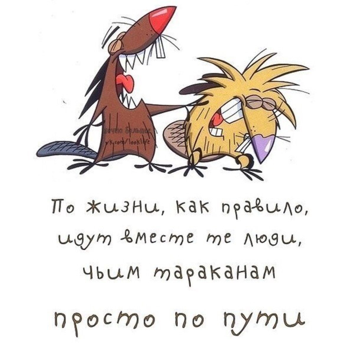 Весёлые статусы в картинках