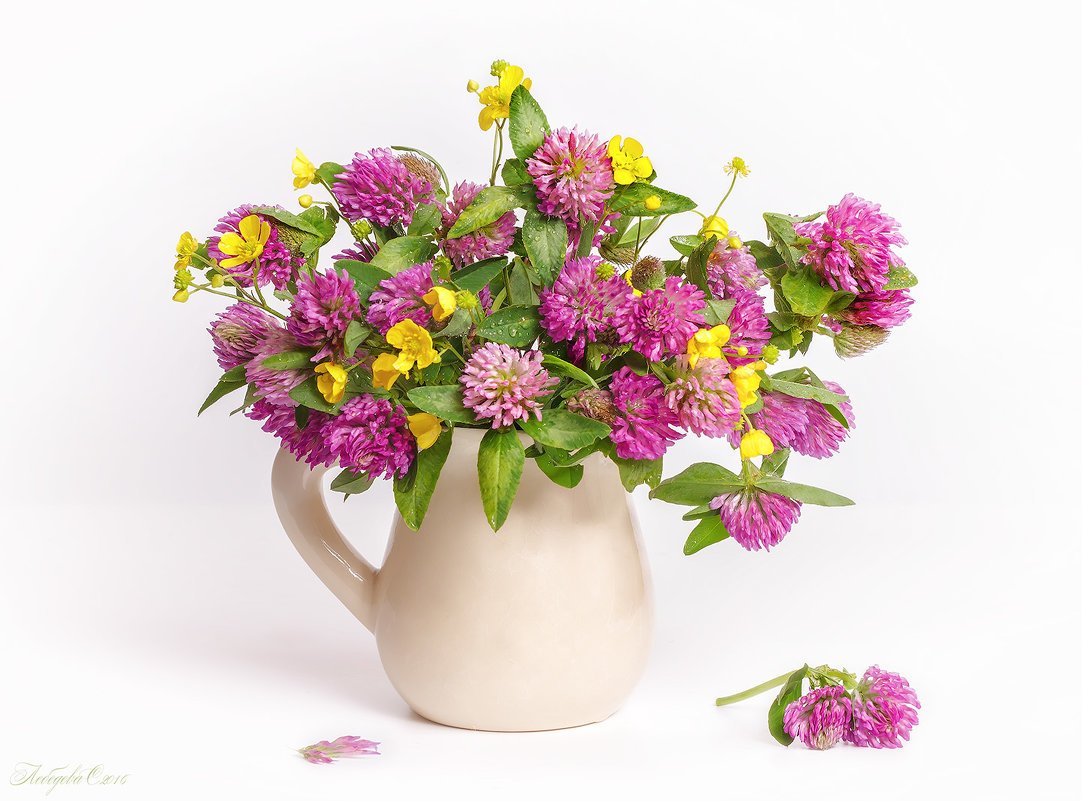 Фотонатюрморты Светланы Лебедевой