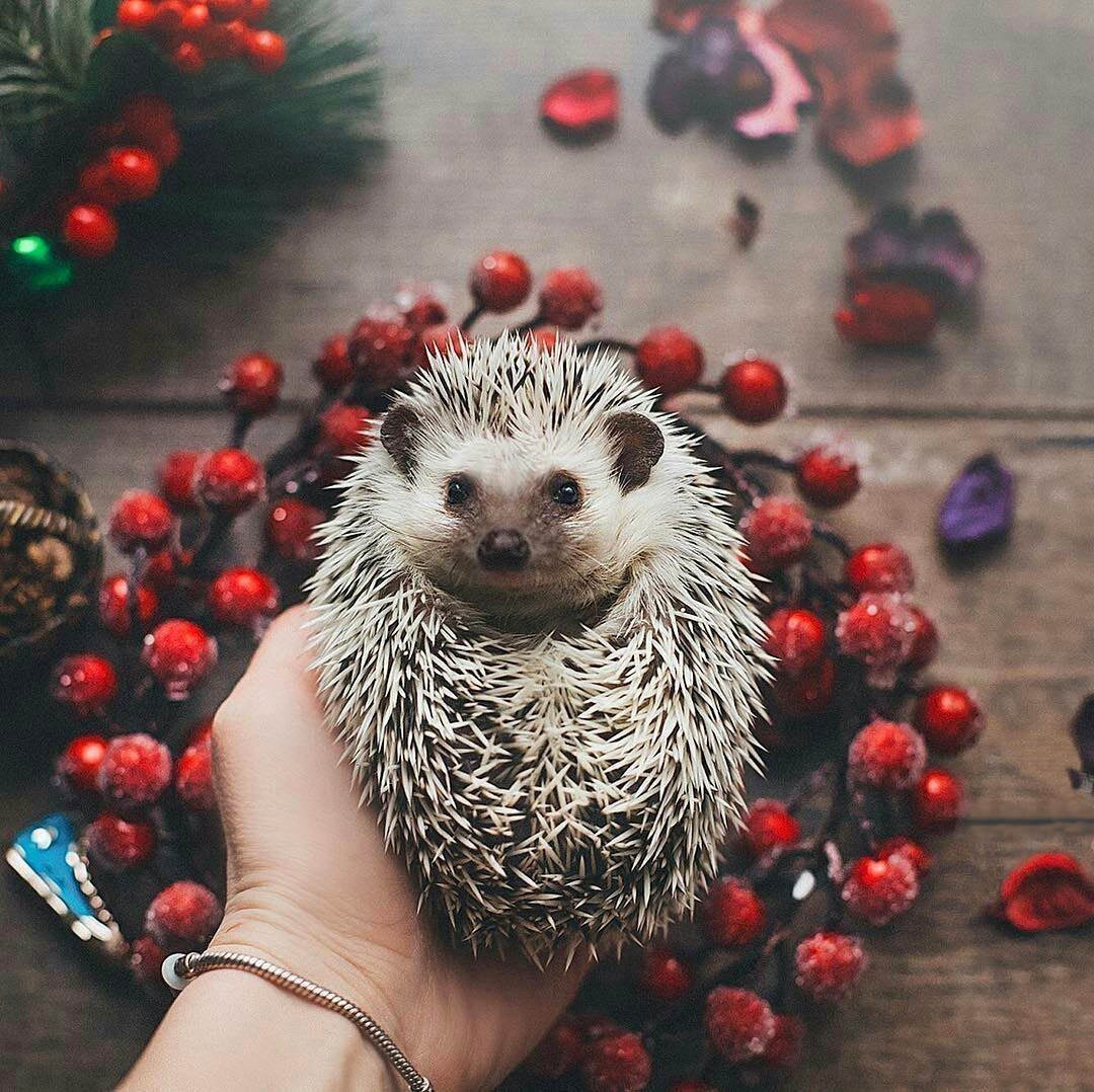 Хорошего настроения в любую погоду