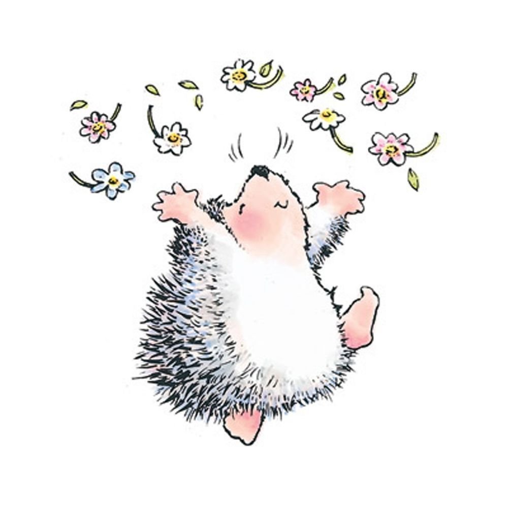 Шутки про ежей