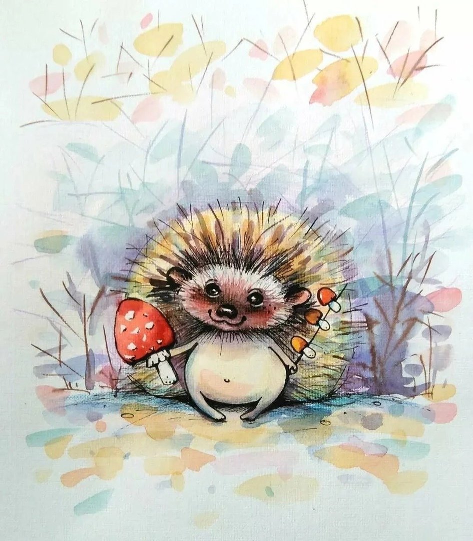 Ева фарб Ежик