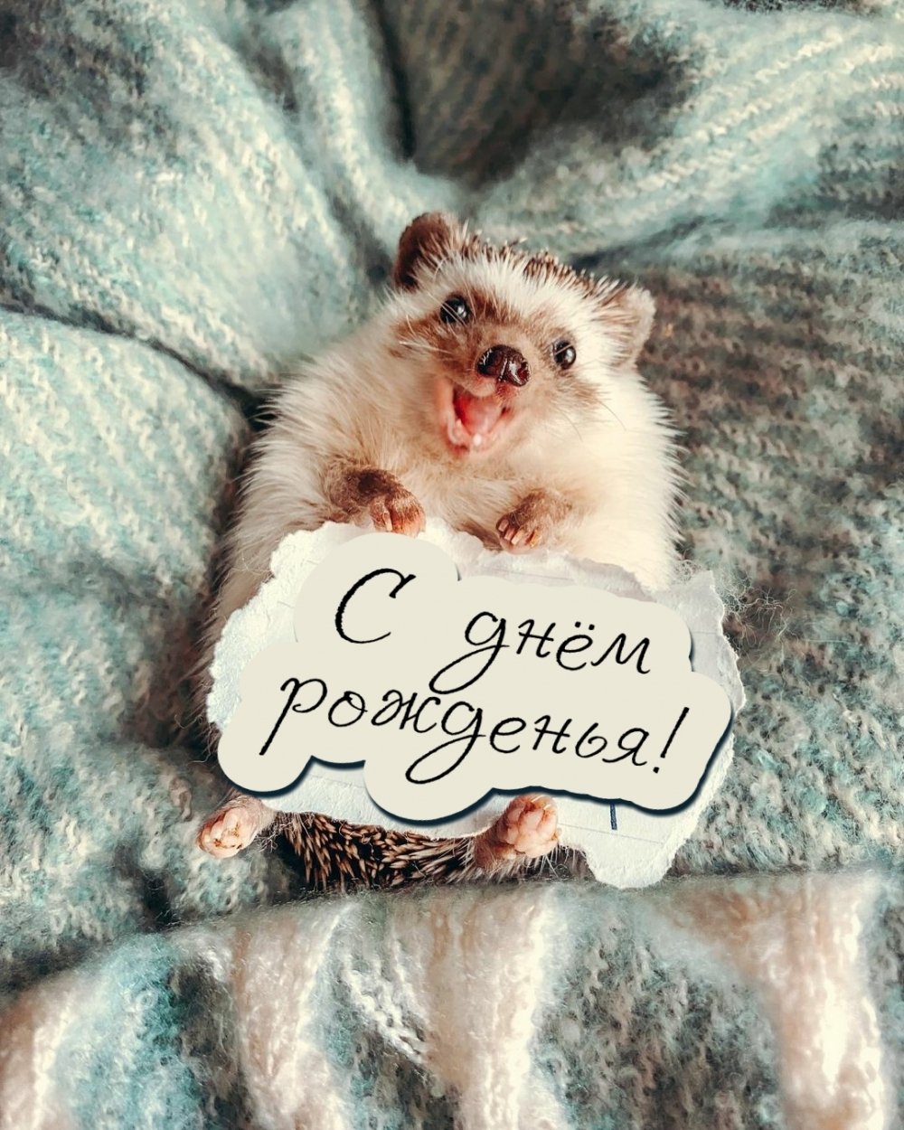 Добрый Ежик рисунок